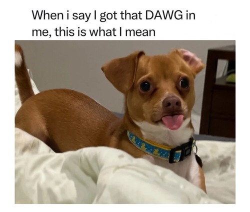 Random Animal Humor - FG.jpg