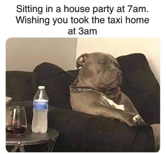 25 Uplifting Dog Memes That Will Fetch Your Smile 12 Sitting in a house party - Uplifting Dog Memes