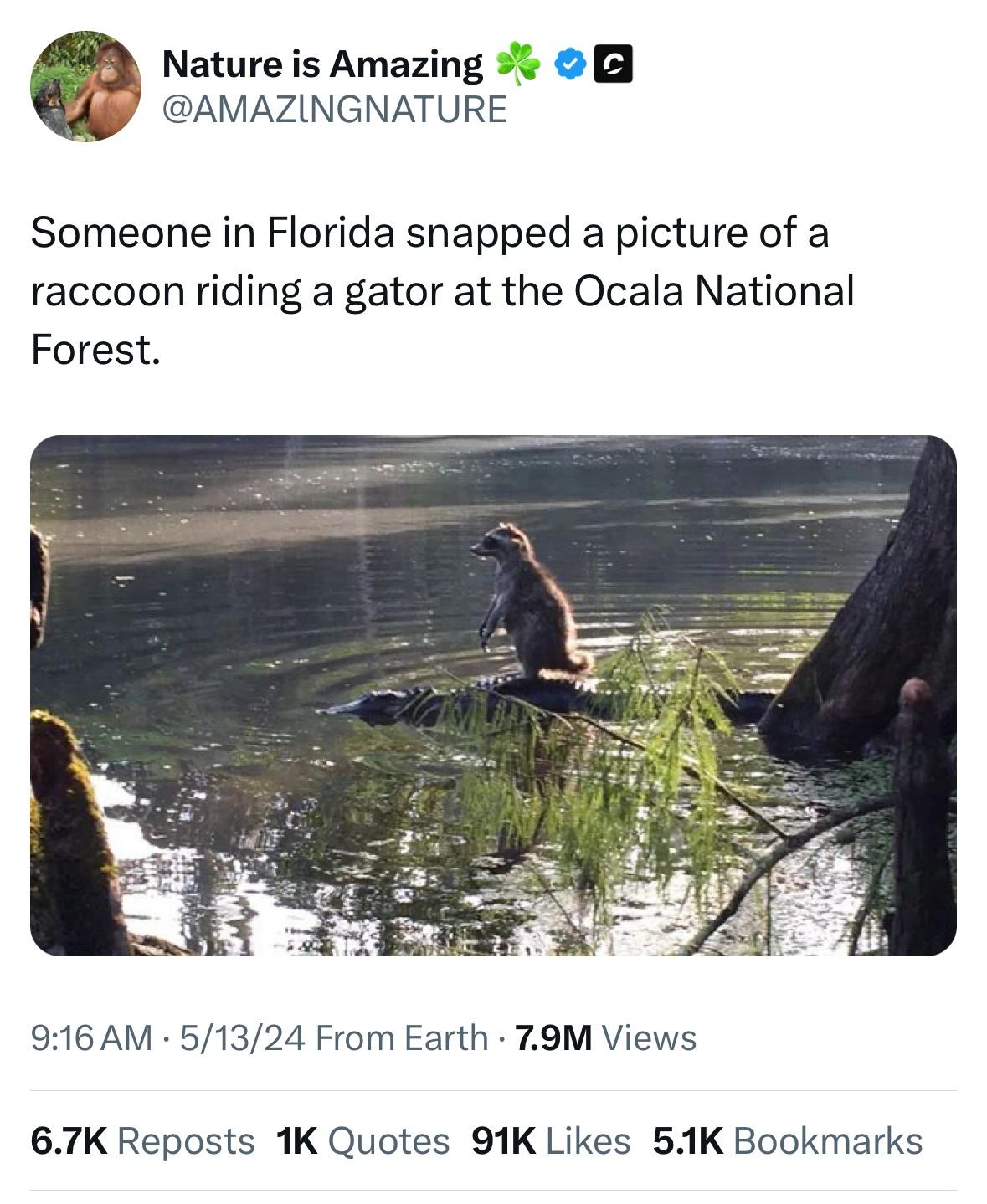20 Fresh Tweets That Are Funnier Than a Cat in a Box 14 Someone in florida - Fresh Tweets
