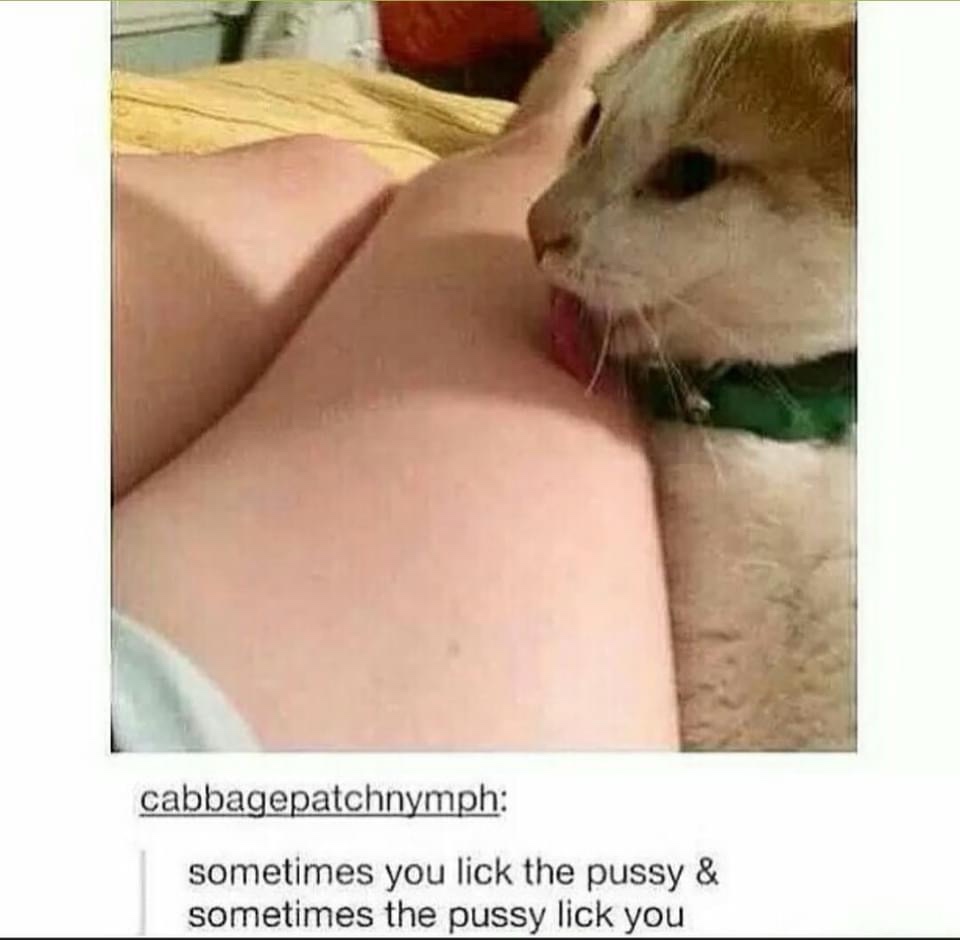 20 Sunday Funday Memes That Will Make You Forget About Monday 17 Sometimes