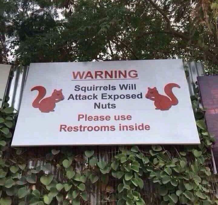 25 Hilarious Signs That Are Too Funny to Ignore 17 Squirrels will attachk - Hilarious Signs