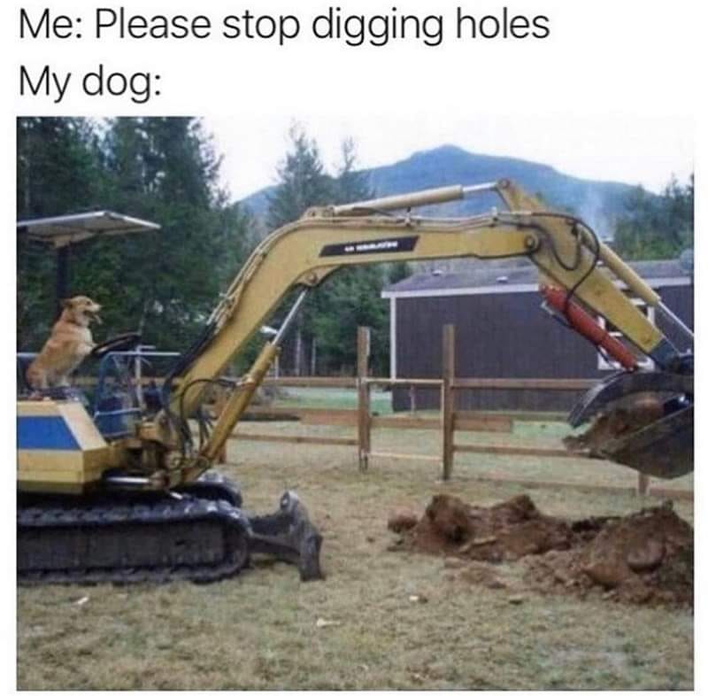 25 Uplifting Dog Memes That Will Fetch Your Smile 14 Stop digging holes - Uplifting Dog Memes