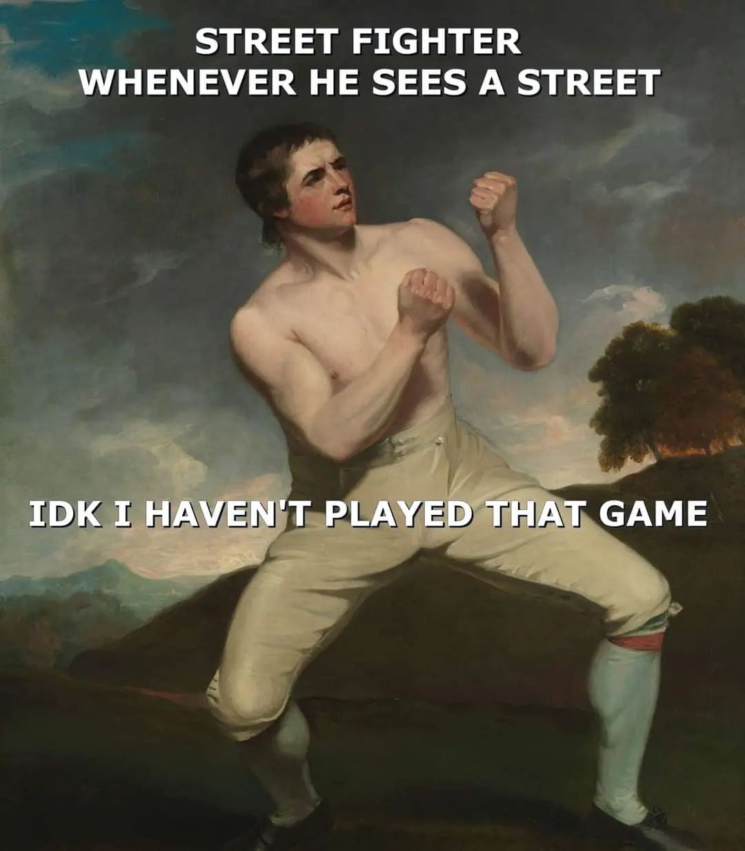 20 Hilarious Art Memes That Paint a Picture of Laughter 10 Street Fighter - Hilarious Art Memes