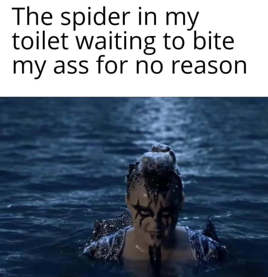 25 Memes That Pair Well with Fine Wine 16 The spider in my toilet