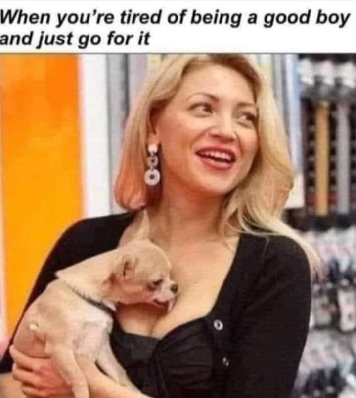 25 Uplifting Dog Memes That Will Fetch Your Smile 17 Tired of being a good boy - Uplifting Dog Memes