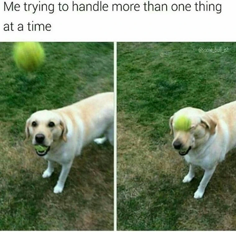 30 Dumb Memes That Will Make You Question The Future Of Humor 30 Trying to handle mor ethan one thing