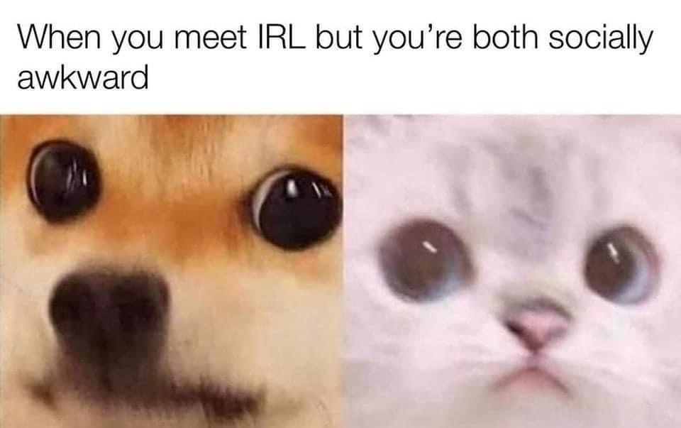 25 Memes That Pair Well with Fine Wine 19 WHEN You meet in irl
