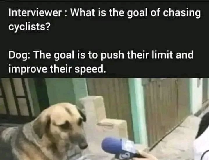WHat is the goal of chasing cyclists
