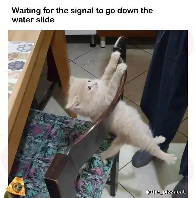 40 Summer Memes That Will Make You Sweat… With Laughter! 42 Waiting for the signal