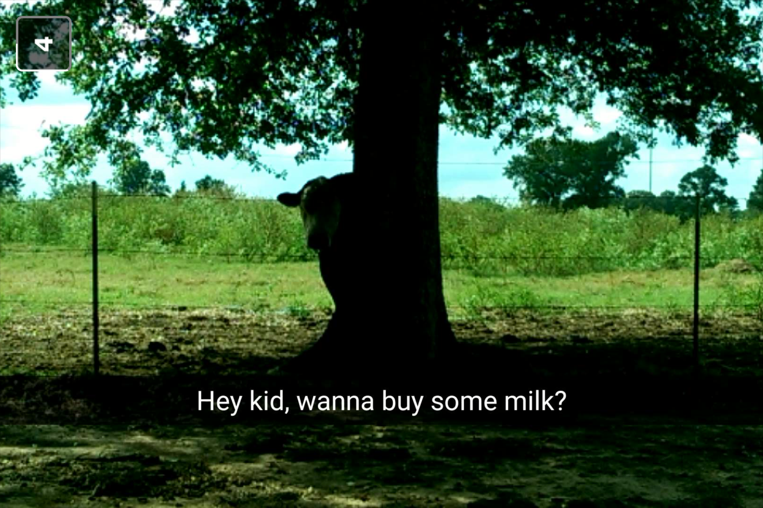 20 Funny Cow Memes That Will Moooove You to Laughter 19 Wanna buy some milk