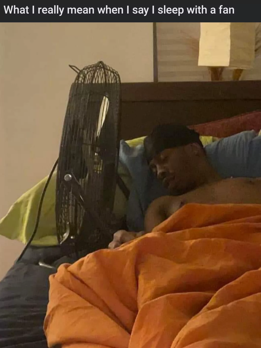 25 Fan Memes That Will Blow You Away With Laughter & Breezy Vibes 25 what I really mean