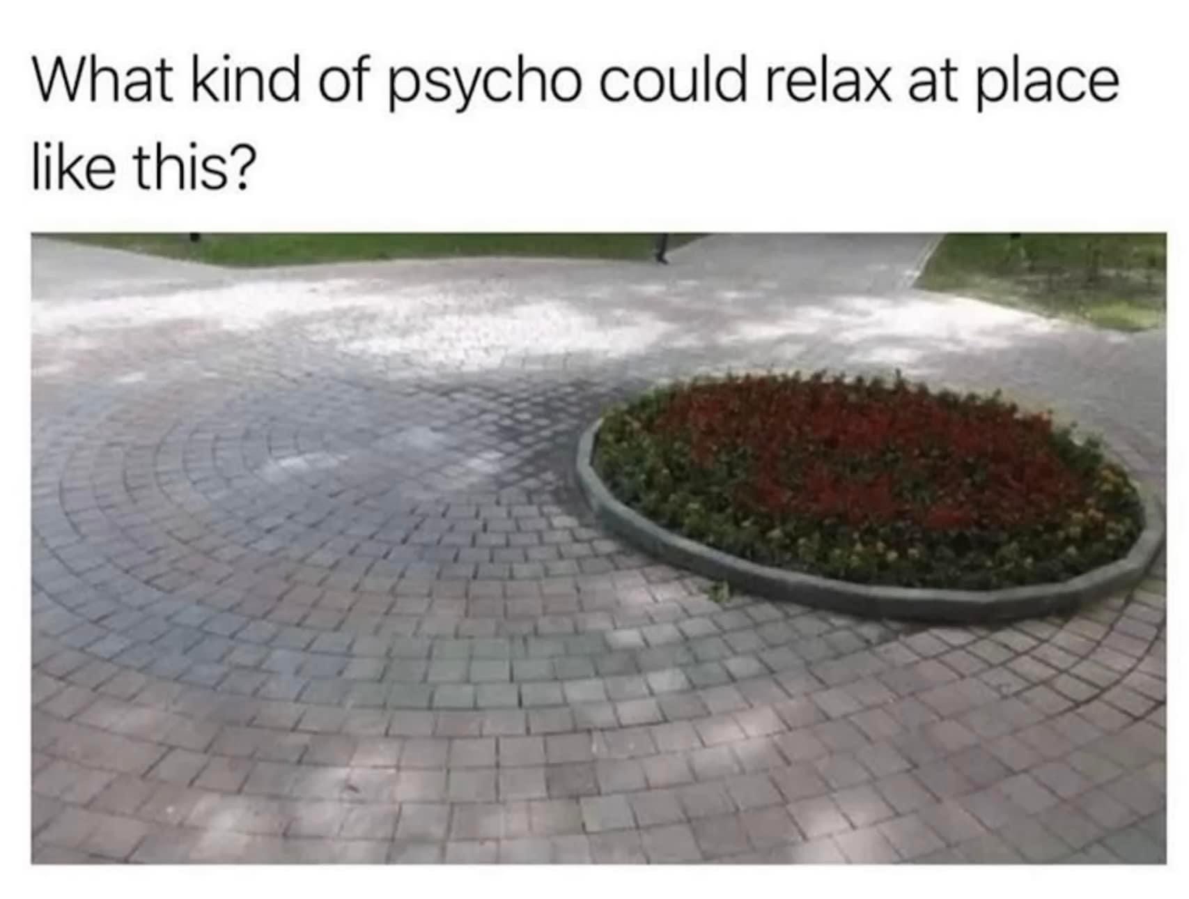 25 Memes That Pair Well with Fine Wine 17 What kind of psycho