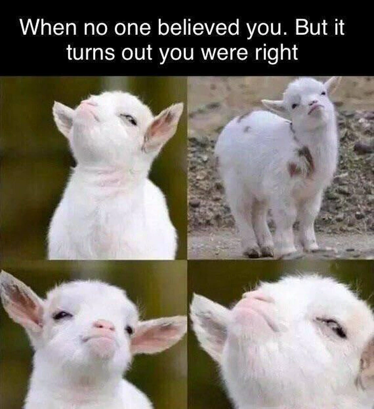 Zoological Zingers: 30 Animal Memes that are a Laughing Matter 30 When no one believed you