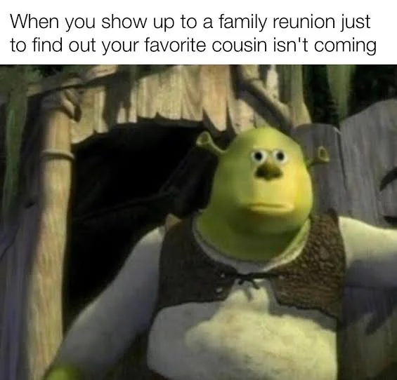 25 Funny Family Memes to Share in the Family Group Chat 17 When you show up to a family reunion
