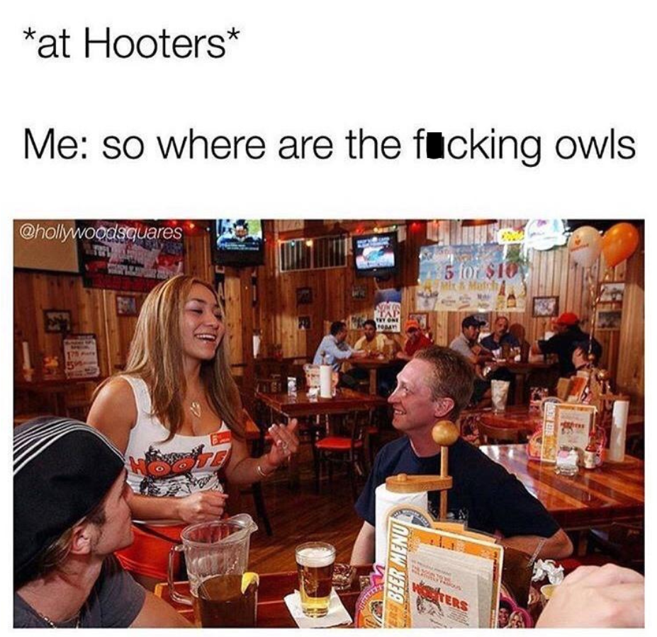 Where are the owls