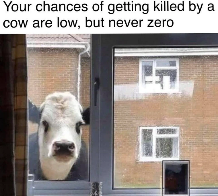 20 Funny Cow Memes That Will Moooove You to Laughter 20 Your chances