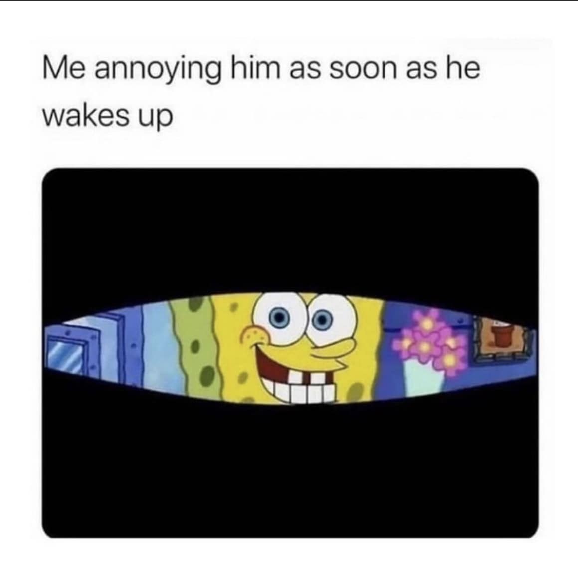 20 Best Relationship Memes for Couples Who Laugh Together 1 annoying him - Best Relationship Memes