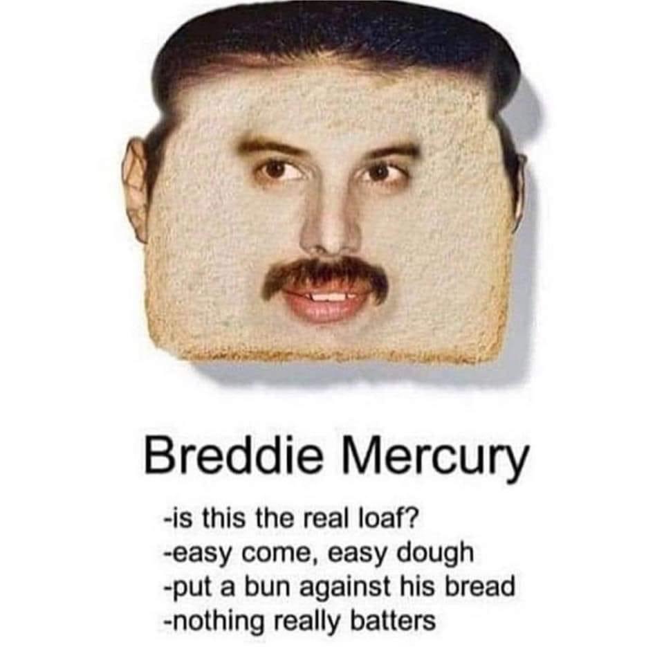 13 Memes to Dive into When Life Needs a Giggle 4 breddie mercury