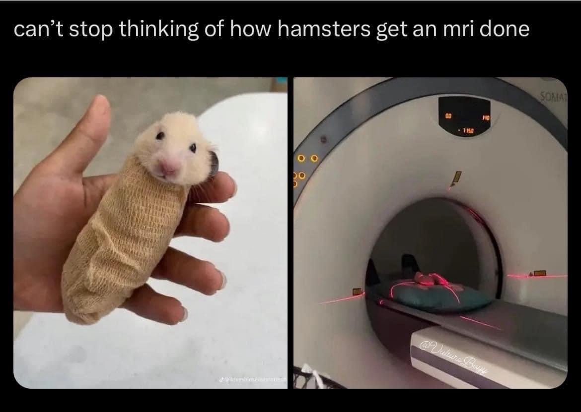 25 Memes That Pair Well with Fine Wine 2 cant stop thinking
