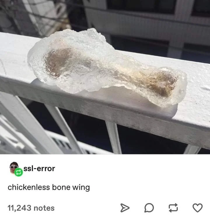 20 Chicken Wings Memes to Spice Up Your International Chicken Wing Day Celebration 4 chickenless bone wing - Chicken Wings Memes