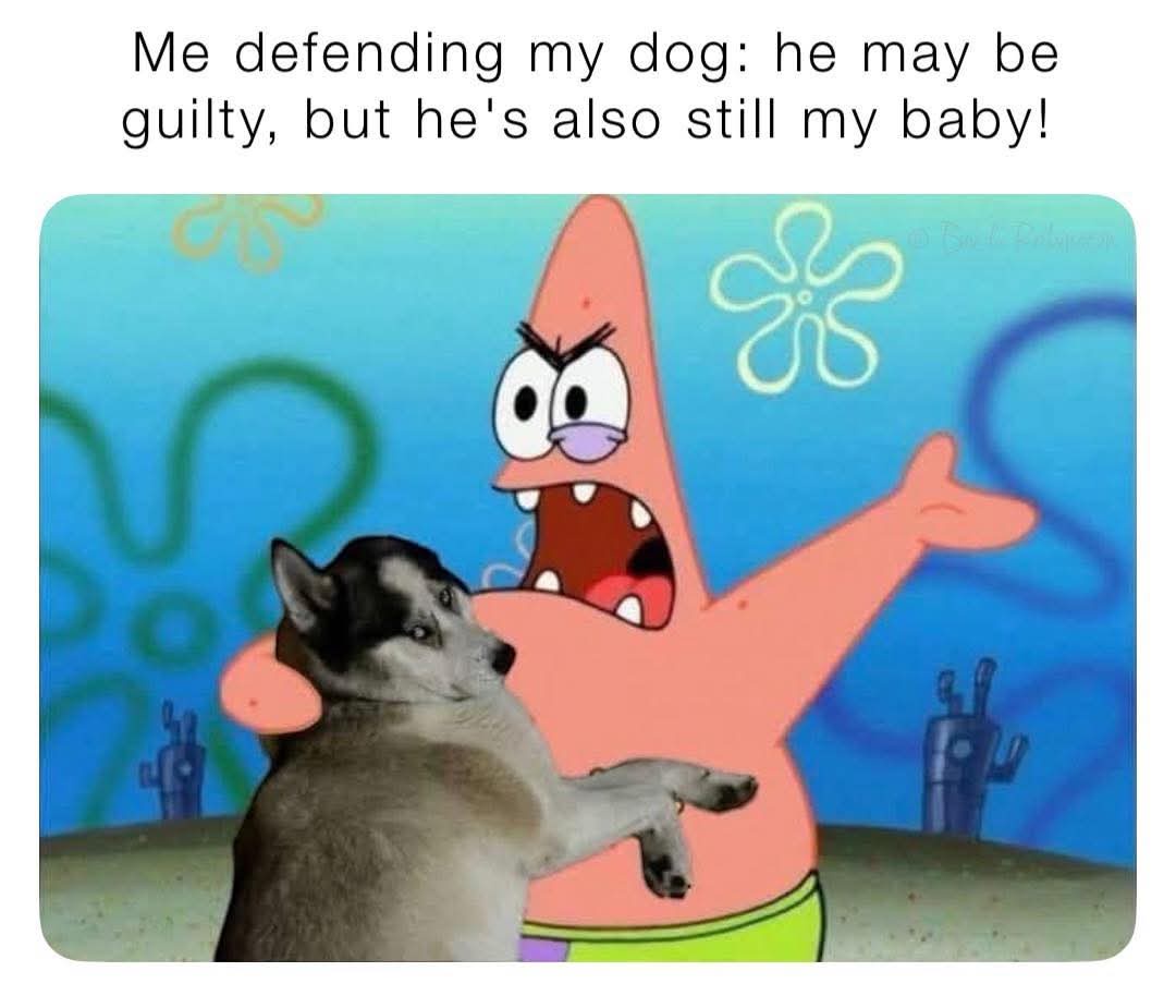defending my dog