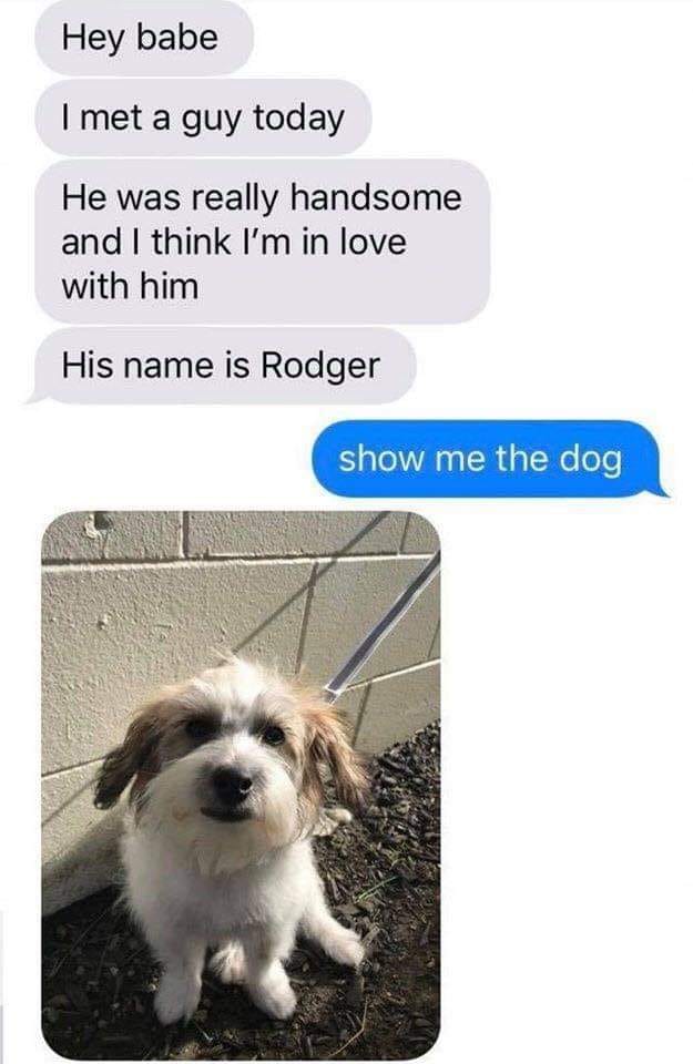 25 Uplifting Dog Memes That Will Fetch Your Smile 3 hey babe - Uplifting Dog Memes