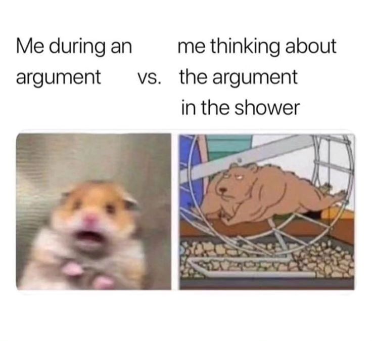 25 Shy Introvert Memes That Will Make You Laugh Silently 9 me during an argument - Shy Introvert Memes