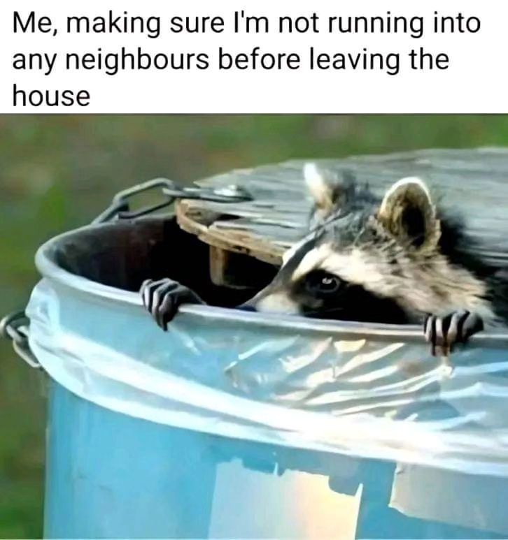 25 Shy Introvert Memes That Will Make You Laugh Silently 11 me making sure - Shy Introvert Memes