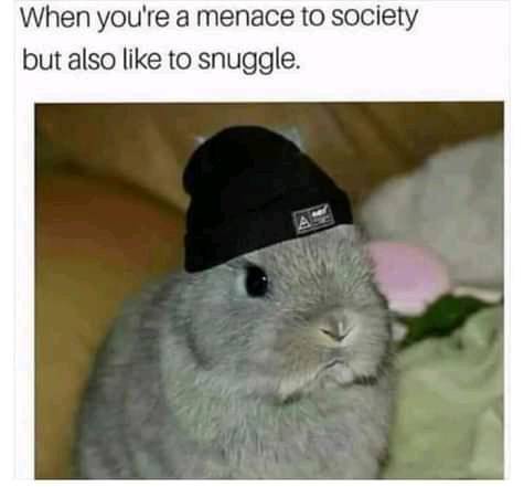 20 Memes That Turned Monday into Fun-day 9 menace to society