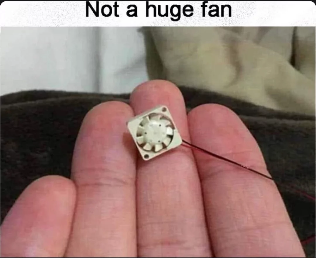 30 Fan Memes That Will Blow You Away With Laughter & Breezy Vibes 29 not a huge fan