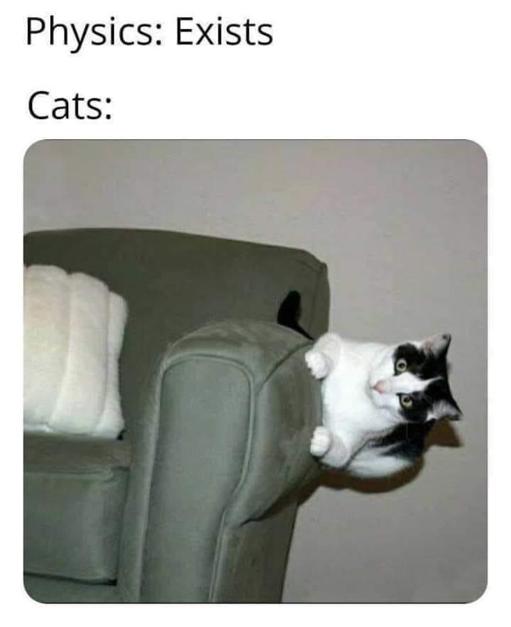 25 Clawsome Cat Memes: Get Ready To Laugh Your Whiskers Off! 23 physics exists