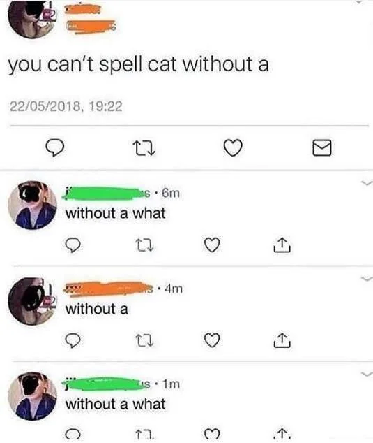 55 People Who Completely Missed The Joke 12 spell cat