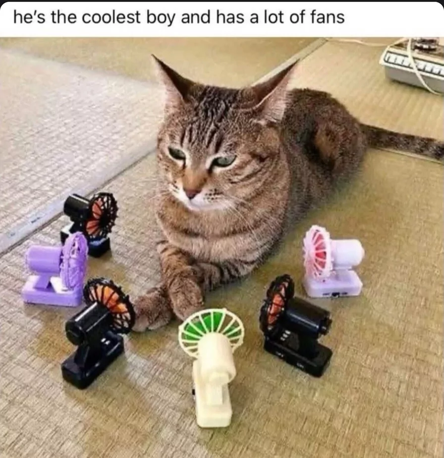 30 Fan Memes That Will Blow You Away With Laughter & Breezy Vibes 31 the coolest boy