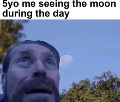 25 Hilarious Moon Memes to Light Up International Moon Day 23 5 year old me seeing moon
