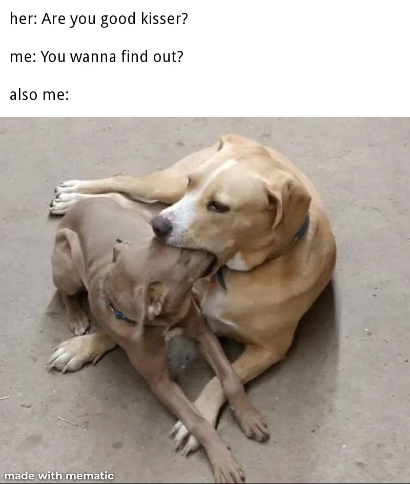 20 Kissing Memes to Celebrate International Kissing Day 3 Are you a good kisser - Kissing Memes