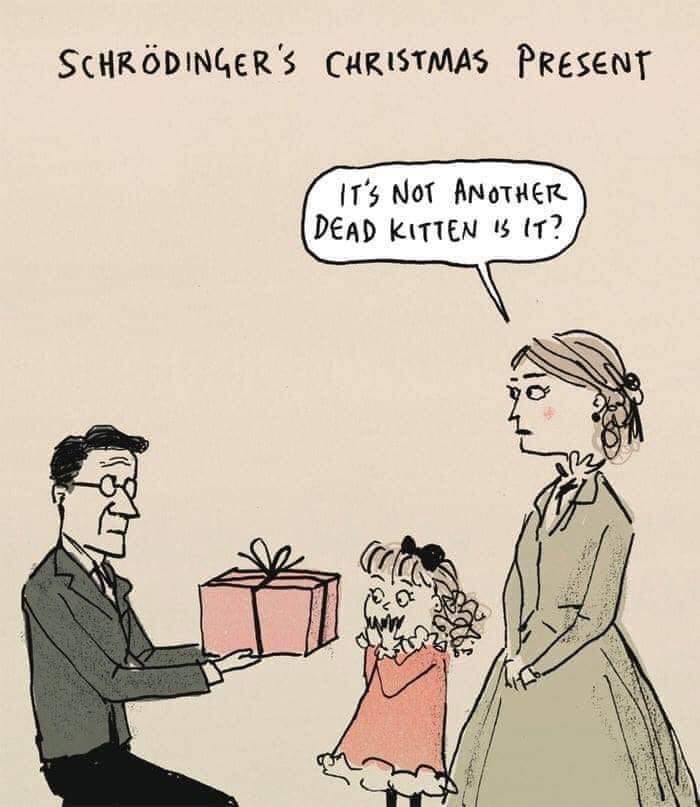 20 Schrödinger's Cat Memes That Will Keep You Guessing If They're Hilarious or Not 16 Christmas present