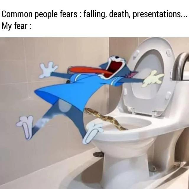 20 Snake Memes That Will Make You Sssmile on World Snake Day! 2 Common people fears - Snake Memes