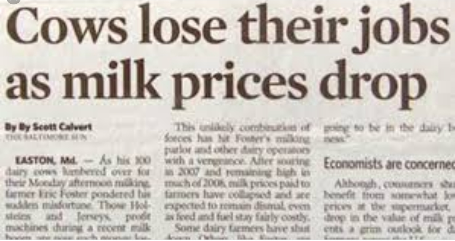 Cows lose their jobs