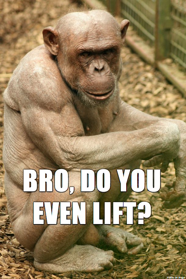 20 Chimpanzee Memes to Celebrate World Chimpanzee Day 5 Do you even lift - Chimpanzee Memes