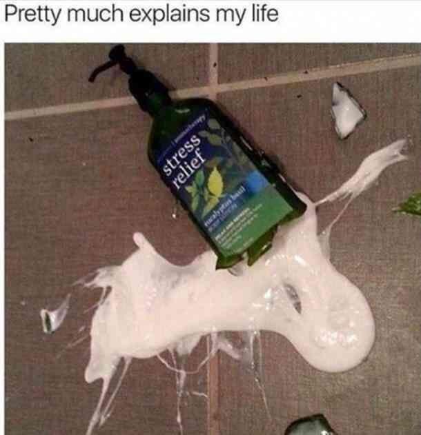 Memetastic Explosion: 25 Memes That Have Been Declared Weapons of Mass Hilarity! 22 Explains my life