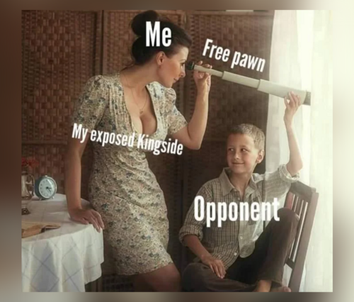 Funny Chess Memes on World Chess Day - FG