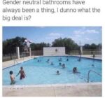 20 Swimming Pool Memes to Keep Your Laughs Above Water - Funny