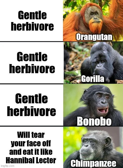 20 Chimpanzee Memes to Celebrate World Chimpanzee Day 6 Gentle herbivore - Chimpanzee Memes