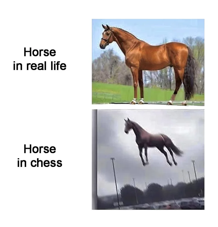 25 Funny Chess Memes to Celebrate World Chess Day 26 Horse in real life