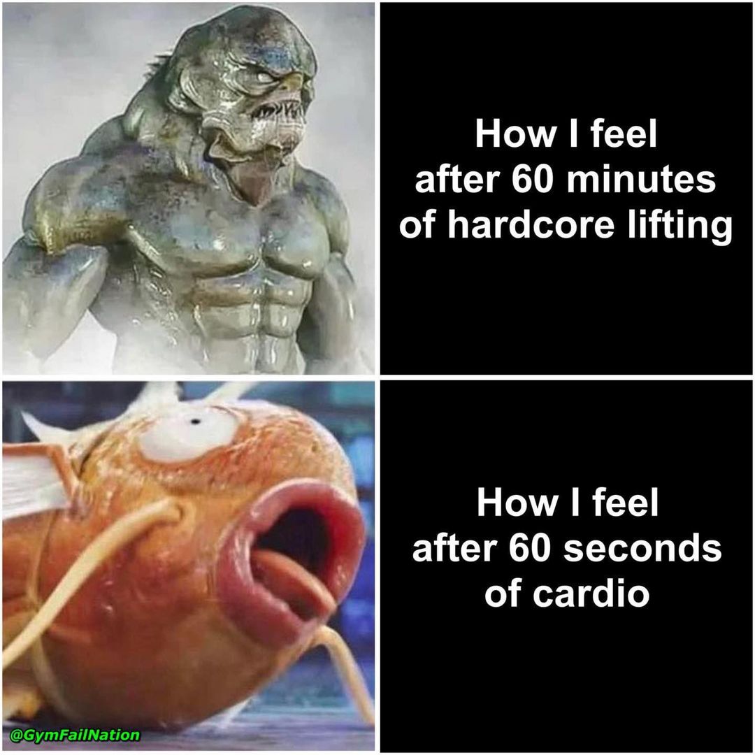 25 Gym Humor Memes That’ll Help You Burn Fat with Every Chuckle! 12 How I feel - Gym Humor Memes