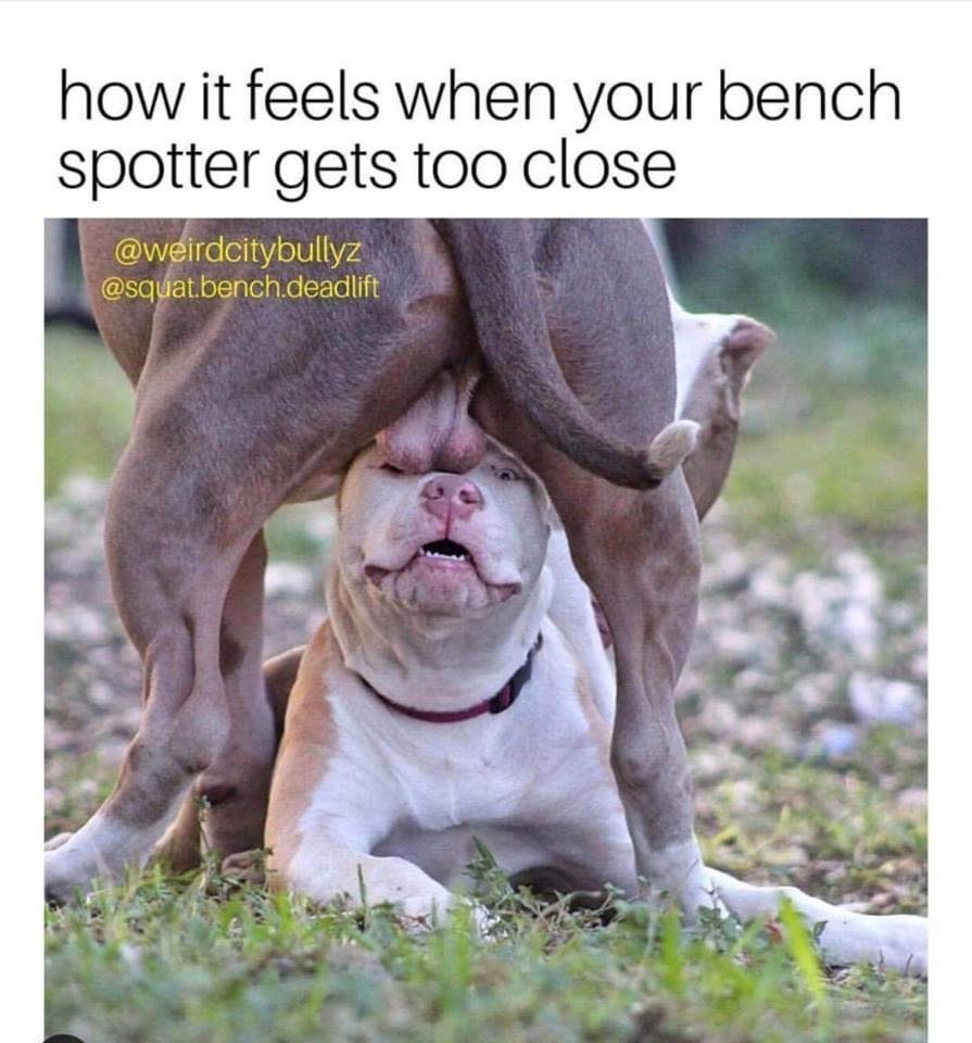 25 Gym Humor Memes That’ll Help You Burn Fat with Every Chuckle! 13 How it feels - Gym Humor Memes