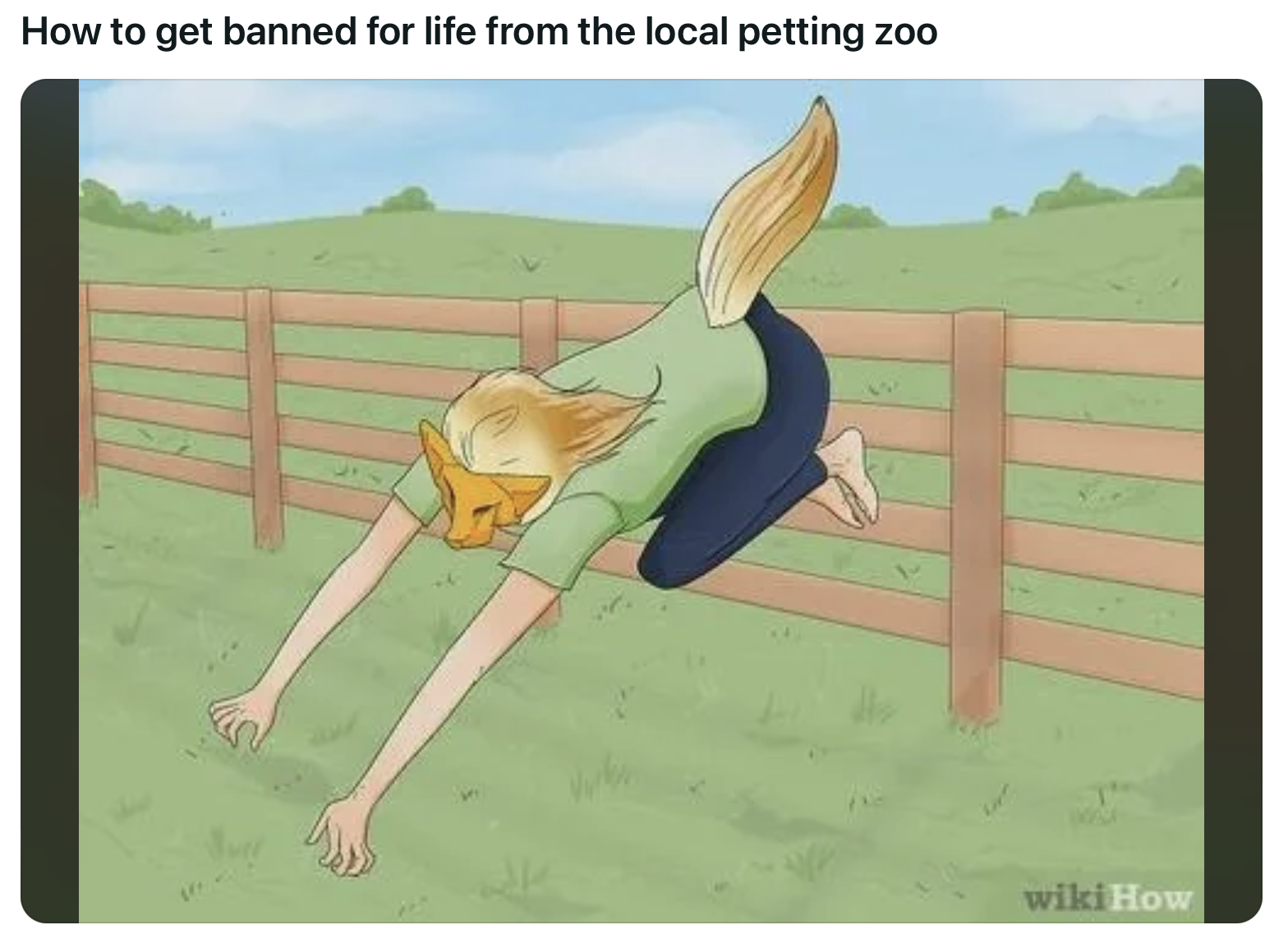 Wiki How Memes: 45 Times the Internet Turned Instructions into Comedy Gold 43 How to get banned for life from the local petting zoo