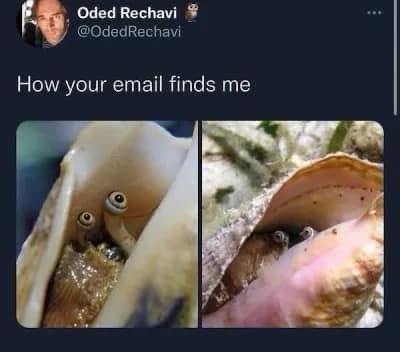 20 Memes That Are Unexpectedly Hilarious 4 How your email finds me