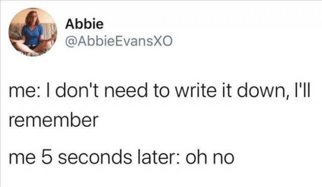 25 Memes That'll Give You a Serious Case of the Giggles 7 I dont need to write it down - Best 90s Memes