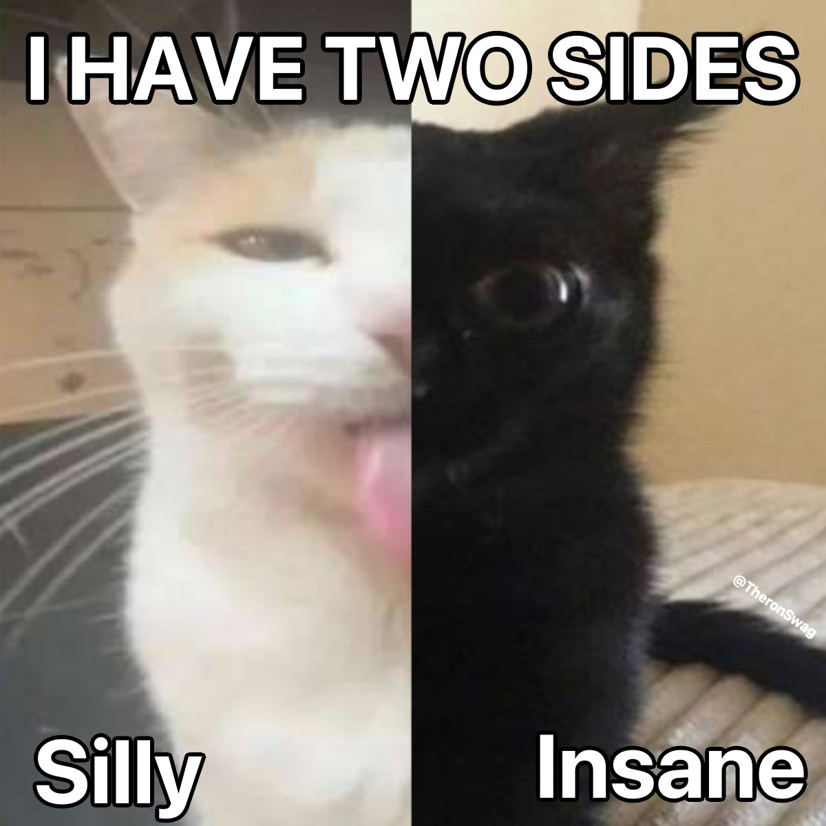 30 Cat Memes That Are Basically You in Furry Form 6 I have two sides - Cat Memes
